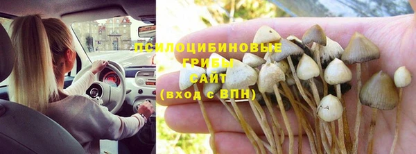 jwh Абаза