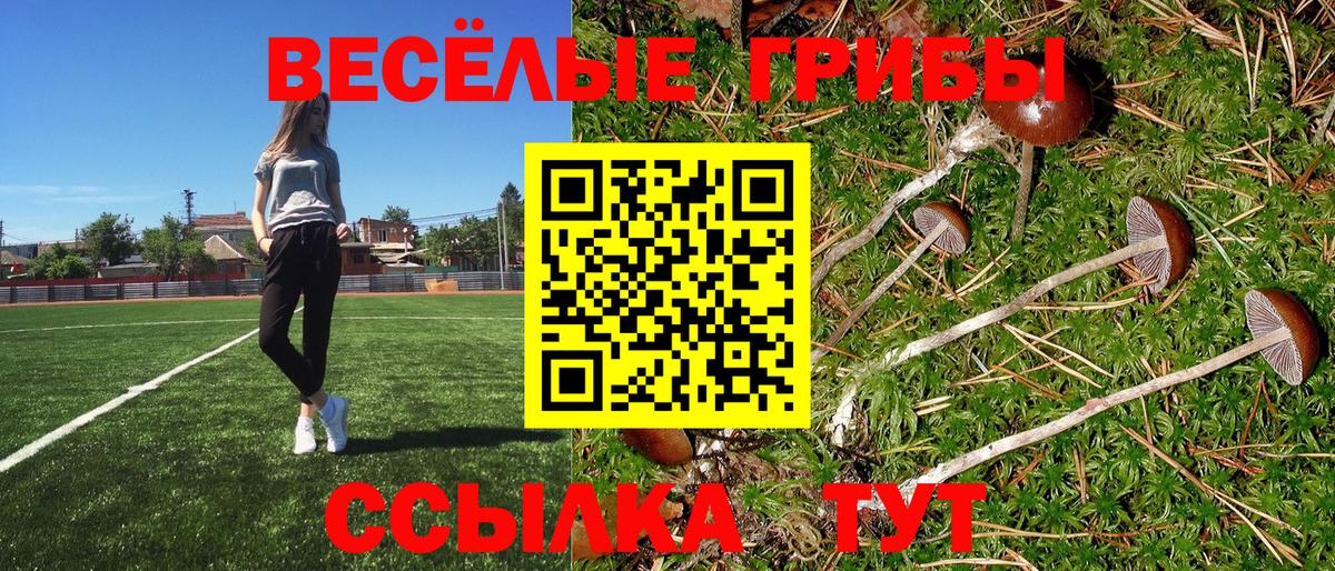 Карталы  Галлюциногенные грибы Psilocybe  Псилоцибиновые грибы Psilocybe  Вход с VPN 