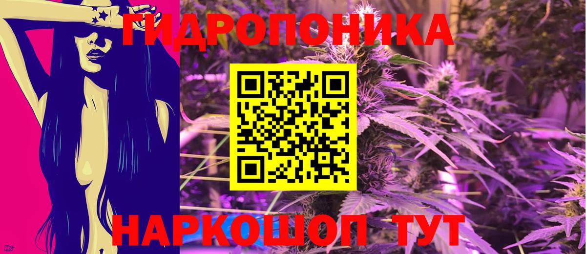 Шишки марихуана планчик  Конопля Amnesia  Канабис Amnesia  Вход с VPN  Бошки марихуана OG Kush  Карталы 